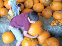 Figure_1_Pumpkin_Lifting