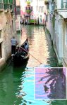 Water_Waves